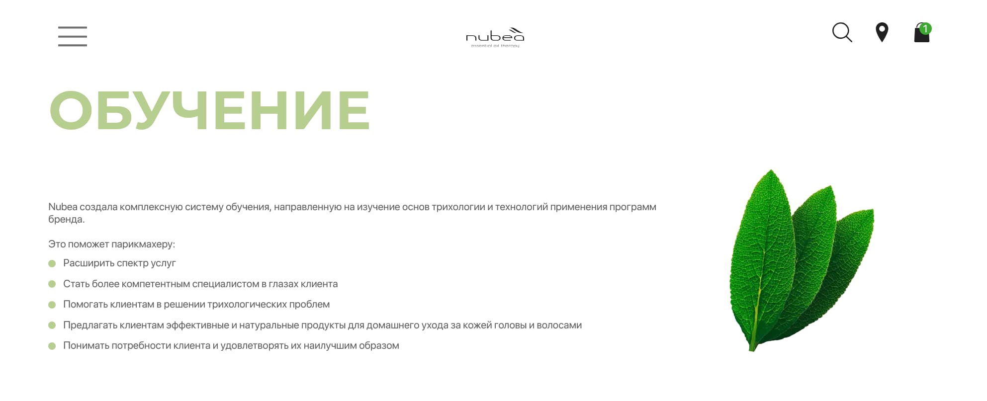 Новость 6